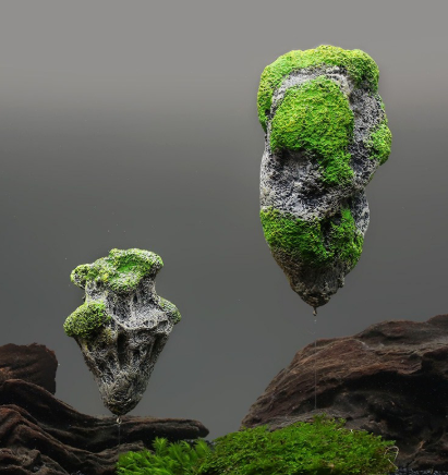 Aquatic Paradise Floating Stone